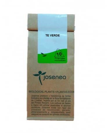 Green Tea Bag of 10 Envelopes