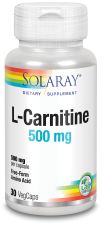 L Carnitine 500mg 30 Capsules