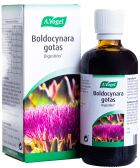 Boldocynara Drops 100 ml