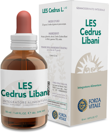 Cedrus Libani Lebanon Cedar 50 ml