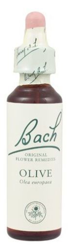 Bash 12 Gentian 20 ml