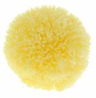 Natural Sponge - Small