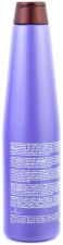 Blueberry Silver Shampoo 350 ml