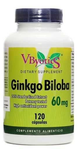 Ginkgo Biloba 120 mg 120 capsules