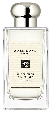 Silver birch and online lavender