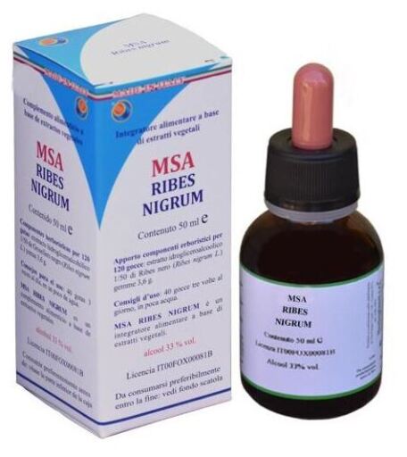 Msa Ribes Nigrum Black Currant Buds 50 ml