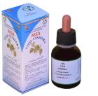 Msa Vitis Vinifera Young Shoots 50 ml